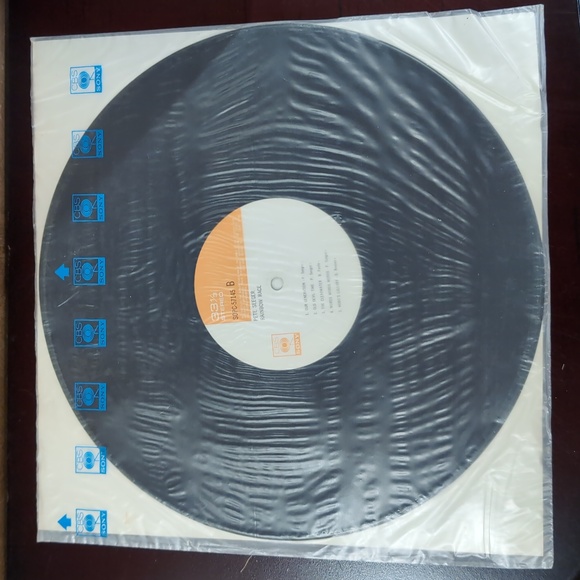 Vintage Pete Seeger Japan Press Rainbow Race Record Vinyl CBS Sony - Picture 7 of 12